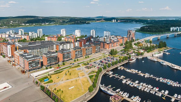 Lutakon asuinalue, Jyväskylä